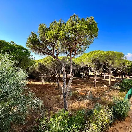 Golf Club Vilamoura By Be Cherish Apartment *
